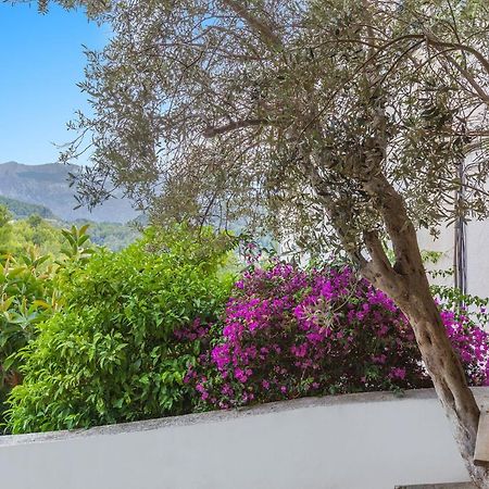 Puerto de SóllerBellavista 22アパートメント エクステリア 写真